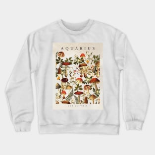 AQUARIUS Crewneck Sweatshirt